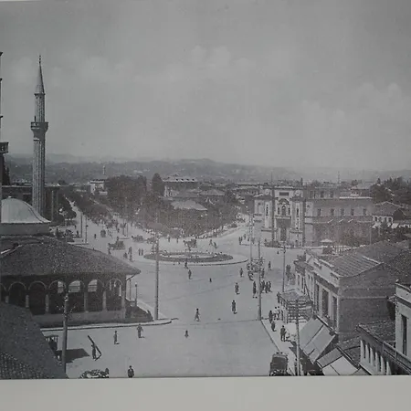 Lavandula Of Church * Tirana