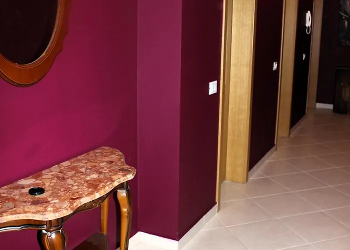 Lavandula Of Church * ティラナ