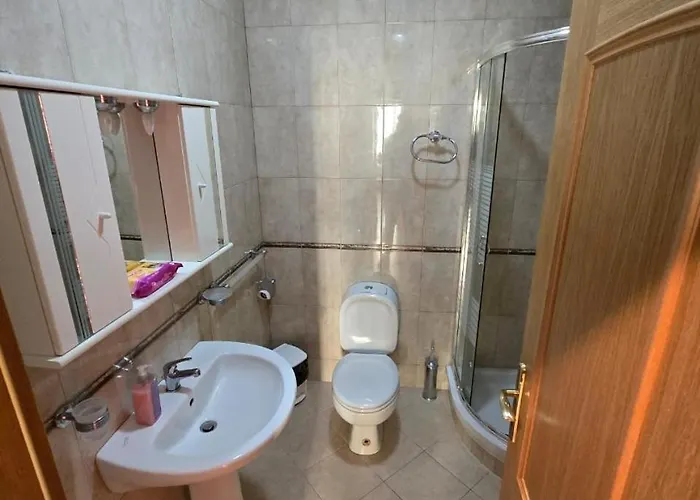 Lavandula Of Church * ティラナ